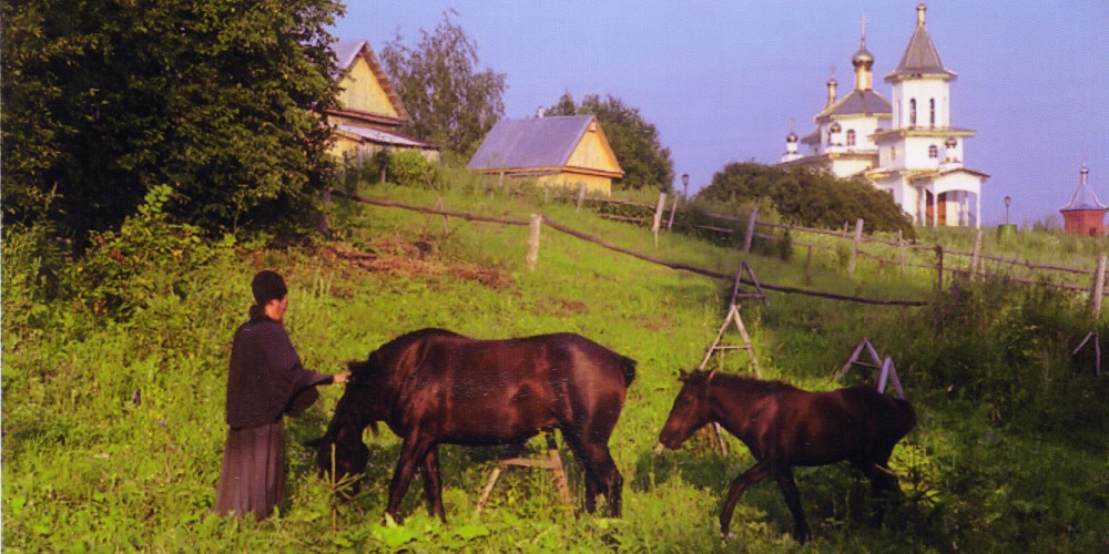 На первом этапе строительства монастыря в хозяйстве активно использовались лошади. На фото: Заря и Веселка.